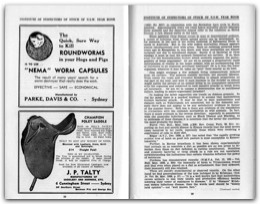 1946 Page 028 029